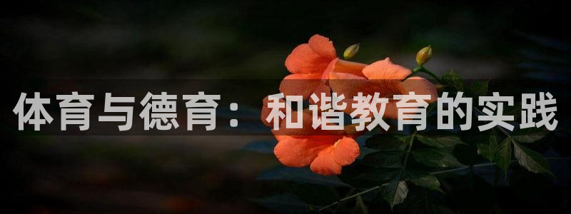 v体育下载：体育与德育：和谐教育的实践