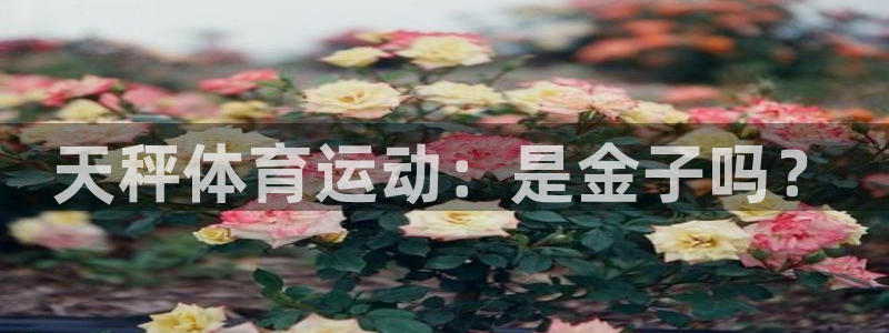 v体育官网：天秤体育运动：是金子吗？