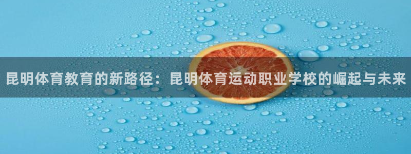 V体育最新登录地址：昆明体育教育的新路径：昆明体育运动职业学校的崛起与未来