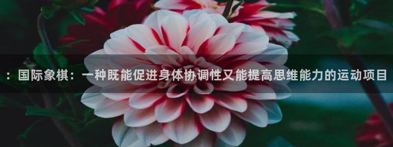 v体育官网入口：：国际象棋：一种既能促进身体协调性又能提高思维能力的运动项目