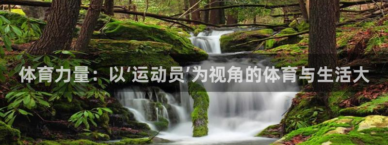 V体育因你胜利：体育力量：以‘运动员’为视角的体育与生活大